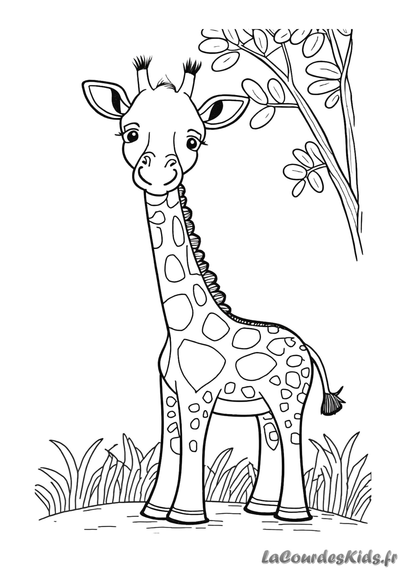 Coloriage Animaux Imprimer Maternelle NDVOGT
